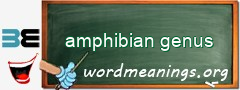 WordMeaning blackboard for amphibian genus